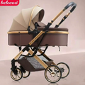 Belecoo Evo 2 in 1 Stroller