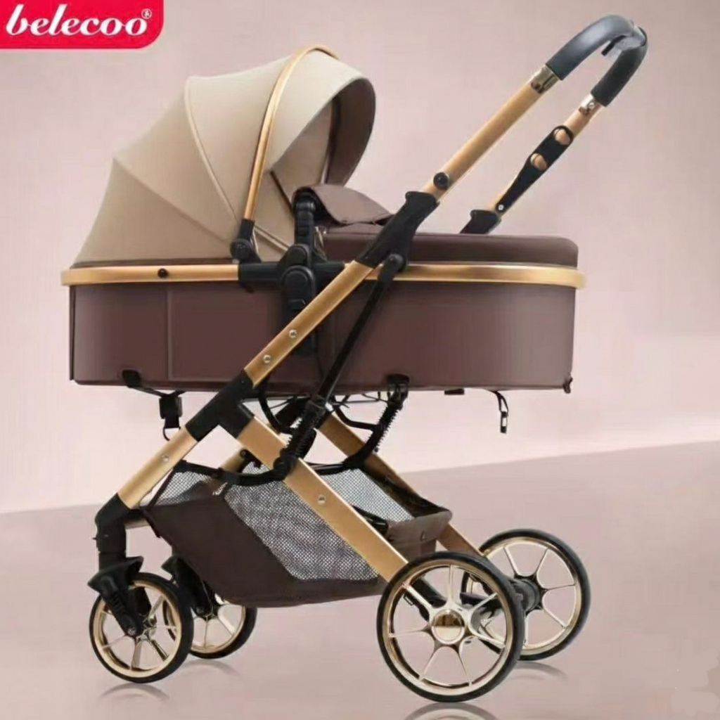 Belecoo Evo 2 in 1 Stroller