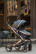 Belecoo PU Leather 2 in 1 Stroller
