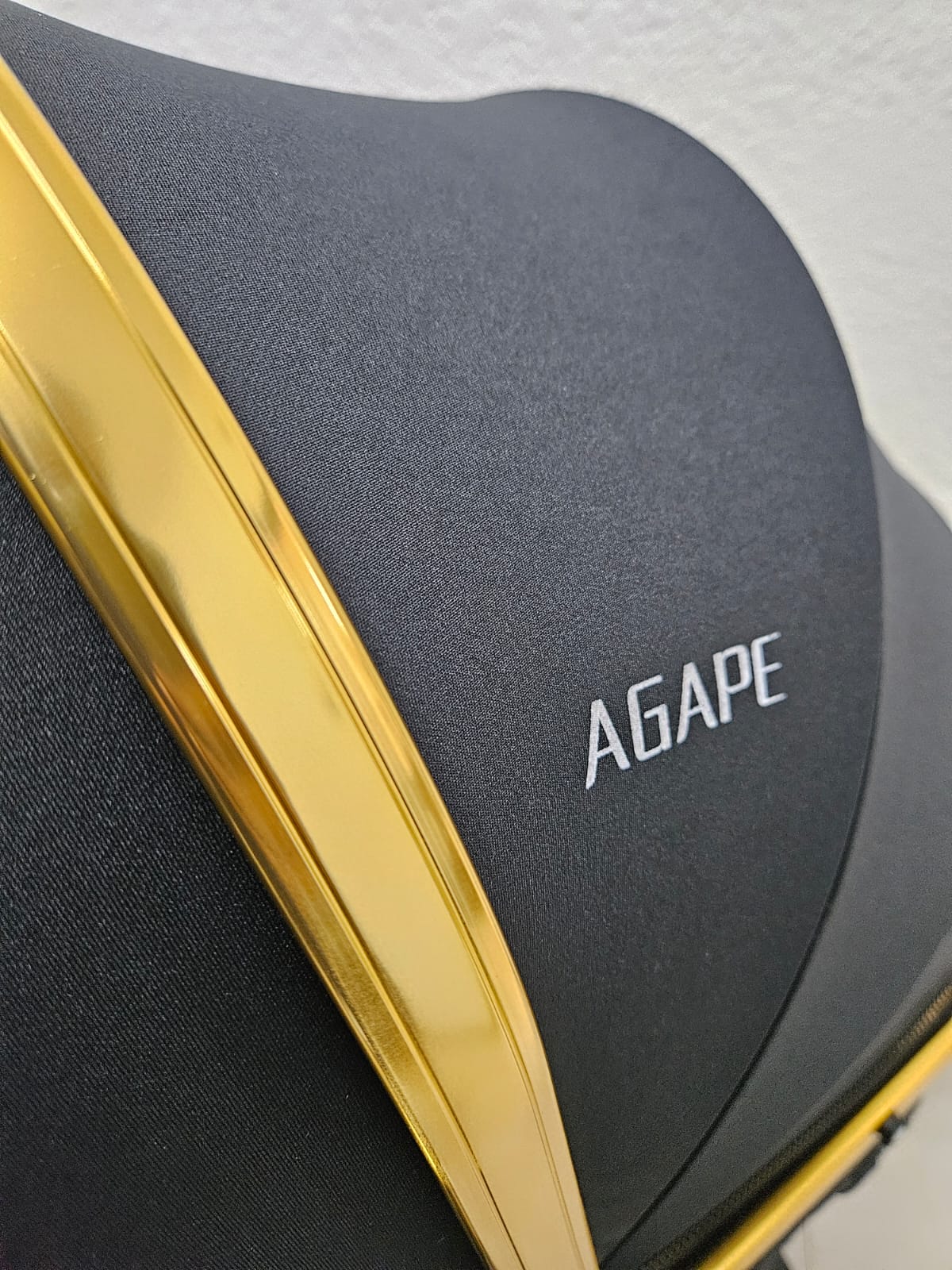 Agape Aurum Gold 2 in 1 Stroller