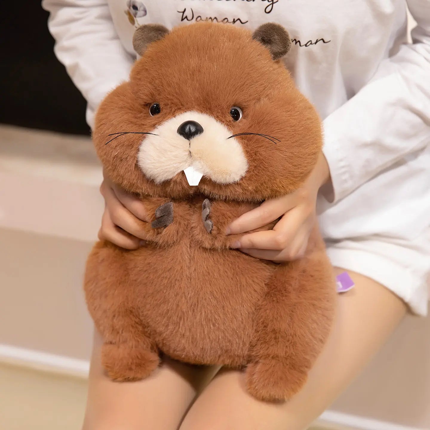 22/35/45cm Simulation Beaver Plush Doll Cute Fluffy Sitting Marmot Groundhog Toy For Kids Adorable Birthday Gift Doll
