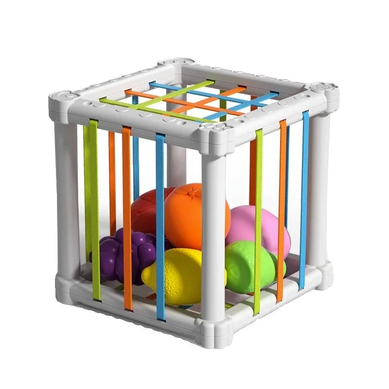 Sesele Magnetic Montessori Fruit Toy Set Model SFL01 Wooden Educational Toy With Lemon Grape Apple Durian