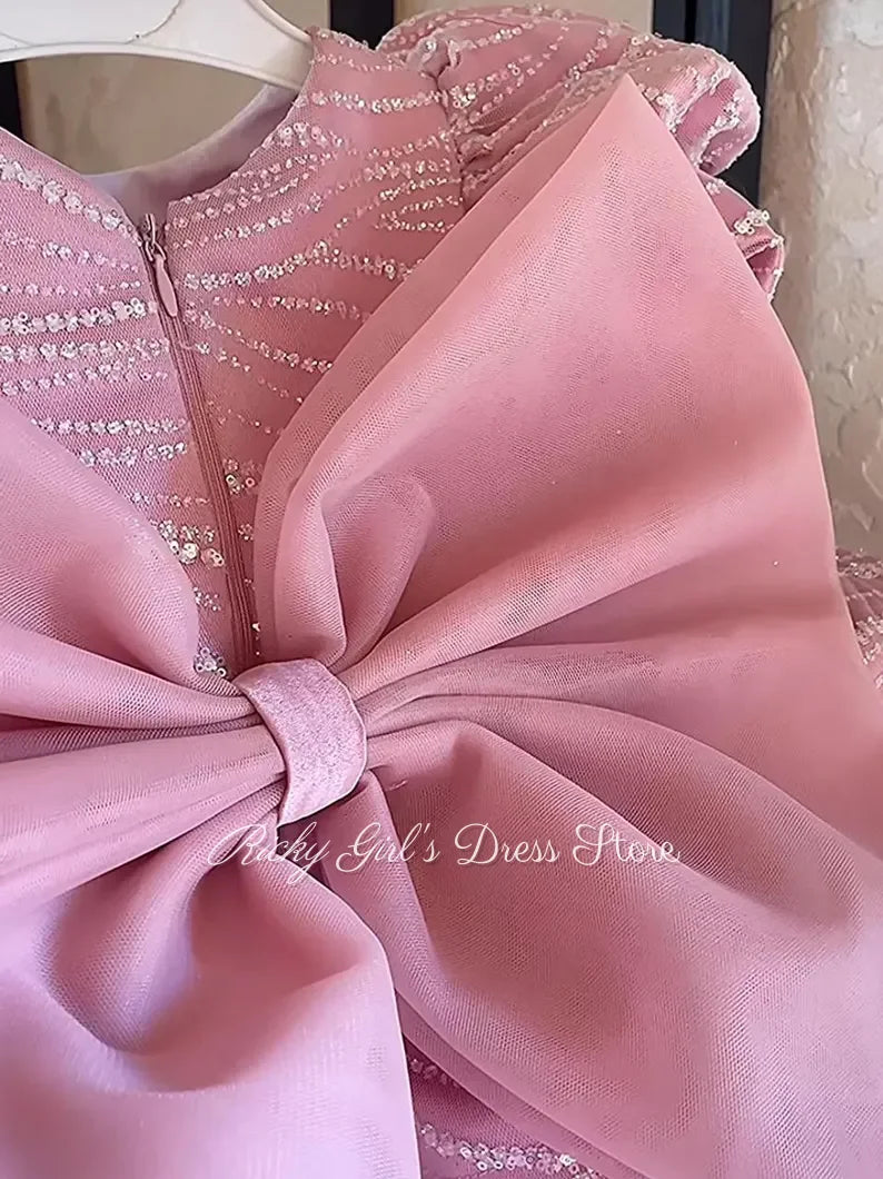 Blush Pink Flower Girl Dress For Wedding Special Occasion Glitter Sequin First Birthday Dress With Puff Sleeve Birthday Party