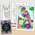 Color by Number for Adults Coloring Book 32 Pages Floral Mandala Design Stress Relief Relaxation Therapy Activity Book