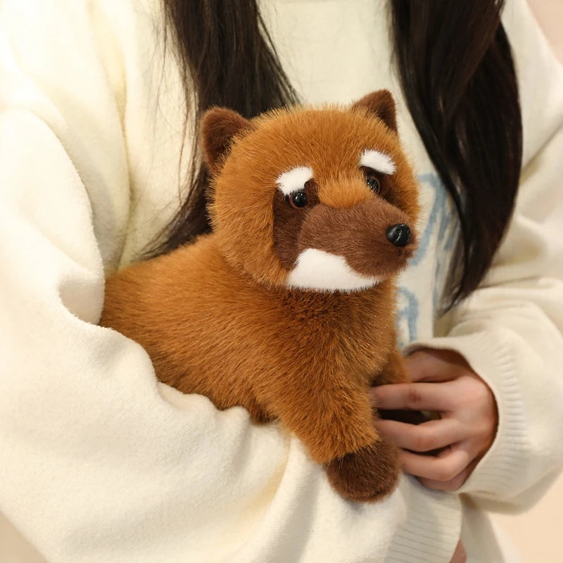 Hot 1pc 50cm Realistic Raccoon Stuffed Animal Doll - Cute Simulation Handmade Toy High Quality Lovely Kids Ornament Gift