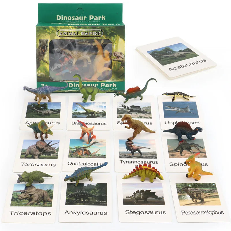 Montessori Life Cycle Teaching Aids Set Frog Butterfly Seeds Ant Model Kit Life Cycle