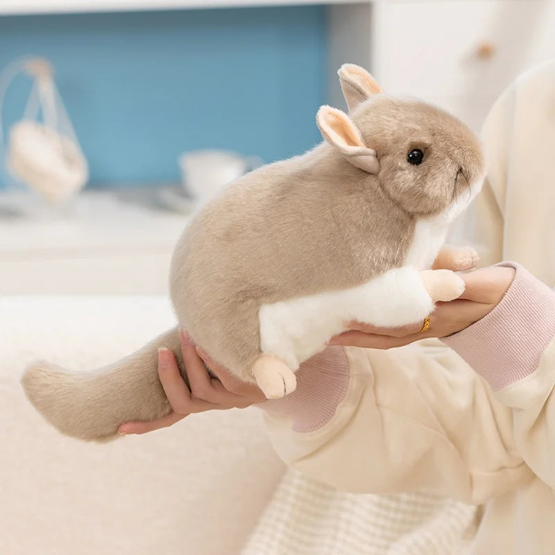 Wholesale Hot 40cm Kawaii Simulation Chinchillidae Plush Toys Soft Lifelike Chinchillas Mouse Stuffed Animal Toys Birthday Gifts