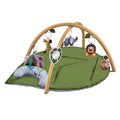Baby Activity Gym Play Mat Leaf Shaped Crawling Rug with Mirror Sensory Hanging Toys Cloth Book Tummy Time Pillow 0-18M