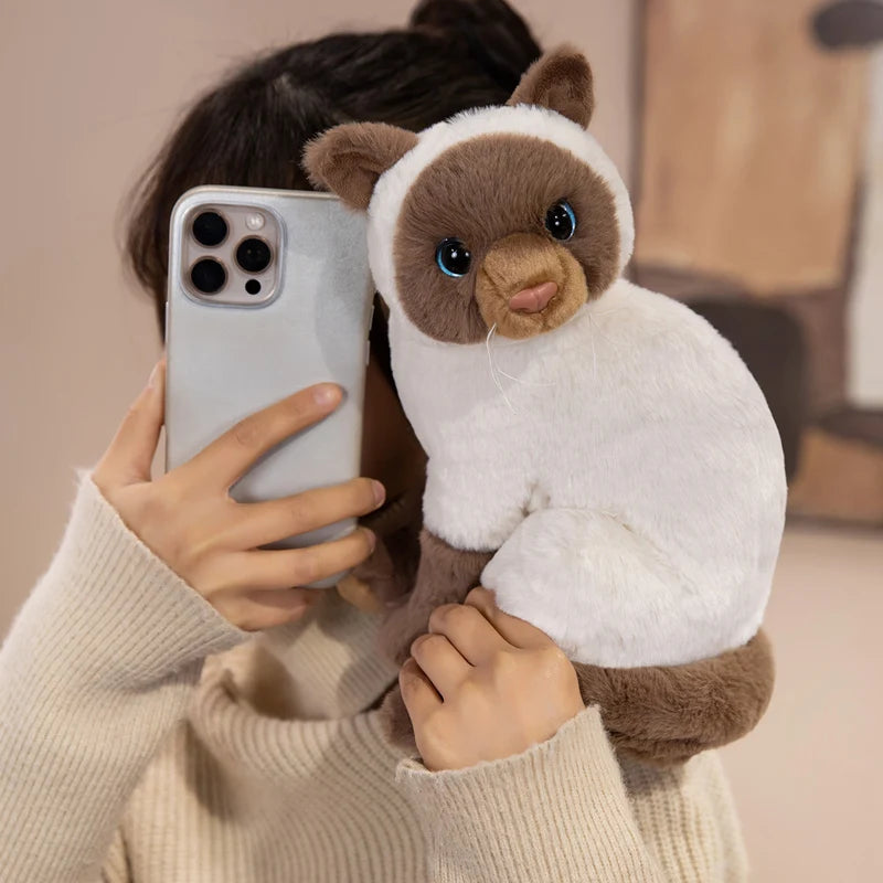 Hot Kawaii Cat Plush Doll Soft Stuffed Animal Simulation Plush Kitten Toys for Children Cartoon Kids Girl Baby Birthday Gift