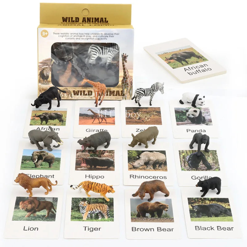 Montessori Life Cycle Teaching Aids Set Frog Butterfly Seeds Ant Model Kit Life Cycle