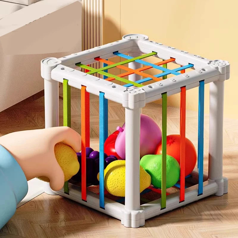 Simulation Magnetic Montessori Fruit Sesele House Lemon Grape Apple Durian Seasoning Baking Toy Wooden Educational Toys For Gift