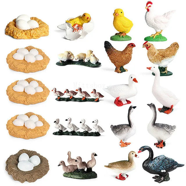 Montessori Life Cycle Teaching Aids Set Frog Butterfly Seeds Ant Model Kit Life Cycle