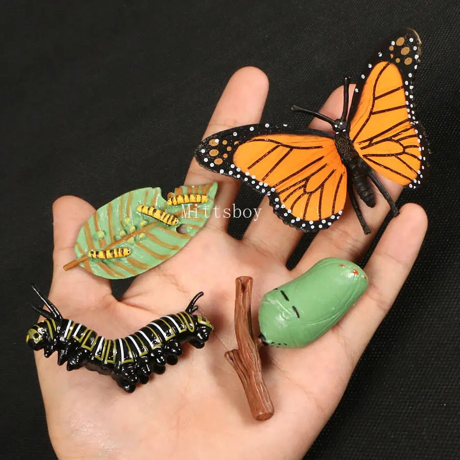 Montessori Wooden Insect Life Cycle Board For Preschool Learning Teaching Growth Cycle Model Set LC01