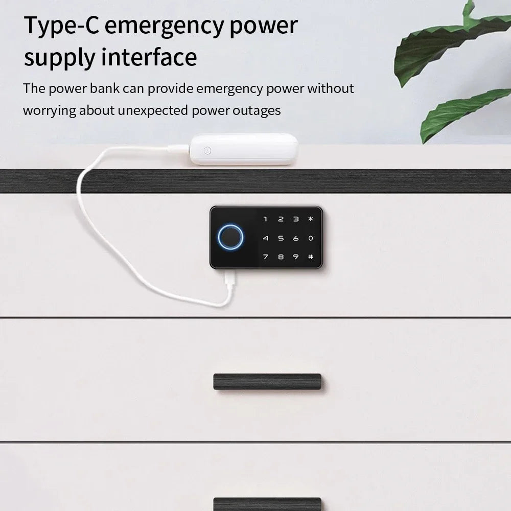 Support Tuya APP Smart Fingerprint No Punch Cam Lock Cabinet Lock Door Drawer Filing Cabinet Post Mail Box Furniture Locker