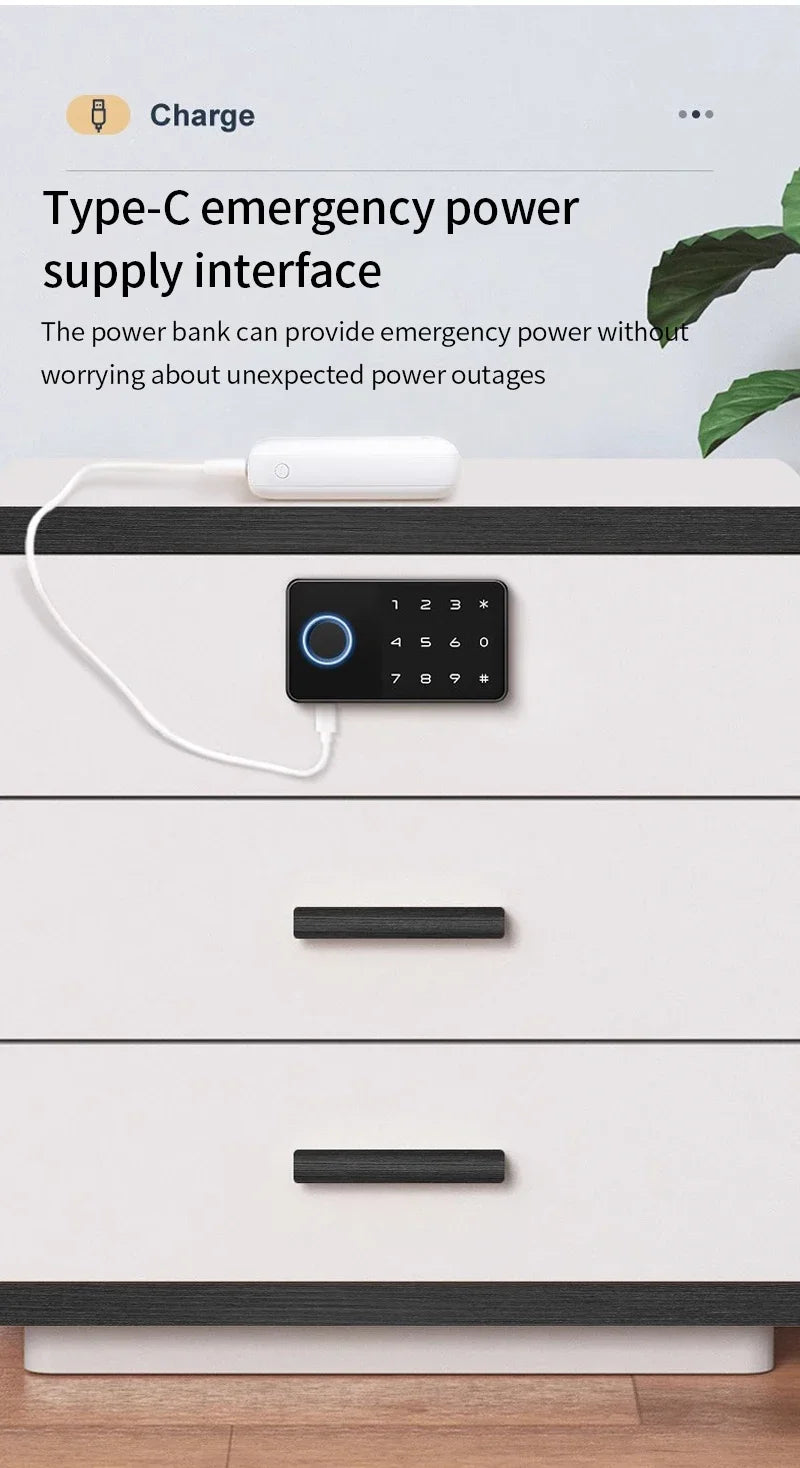 Support Tuya APP Smart Fingerprint No Punch Cam Lock Cabinet Lock Door Drawer Filing Cabinet Post Mail Box Furniture Locker