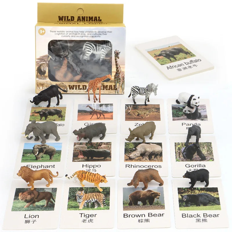 Montessori Life Cycle Teaching Aids Set Frog Butterfly Seeds Ant Model Kit Life Cycle