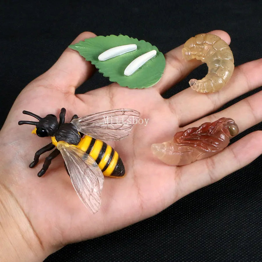 Montessori Wooden Insect Life Cycle Board For Preschool Learning Teaching Growth Cycle Model Set LC01