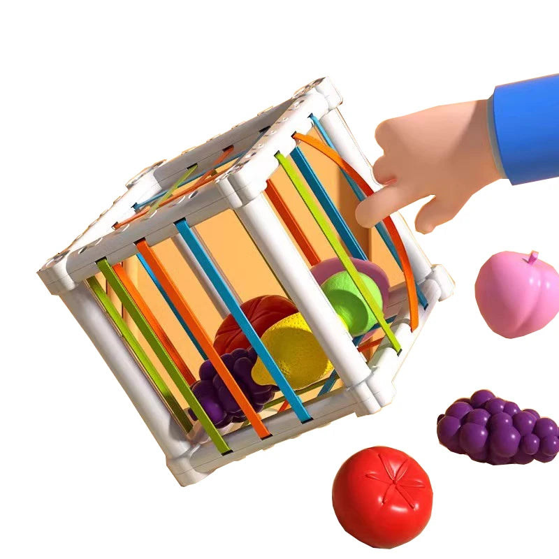 Simulation Magnetic Montessori Fruit Sesele House Lemon Grape Apple Durian Seasoning Baking Toy Wooden Educational Toys For Gift