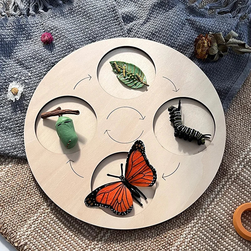Montessori Wooden Lifelike Insect Animal Life Cycle Board Teaching Plant Animals Growth Cycle Model Set Preschool Cognitive Toy