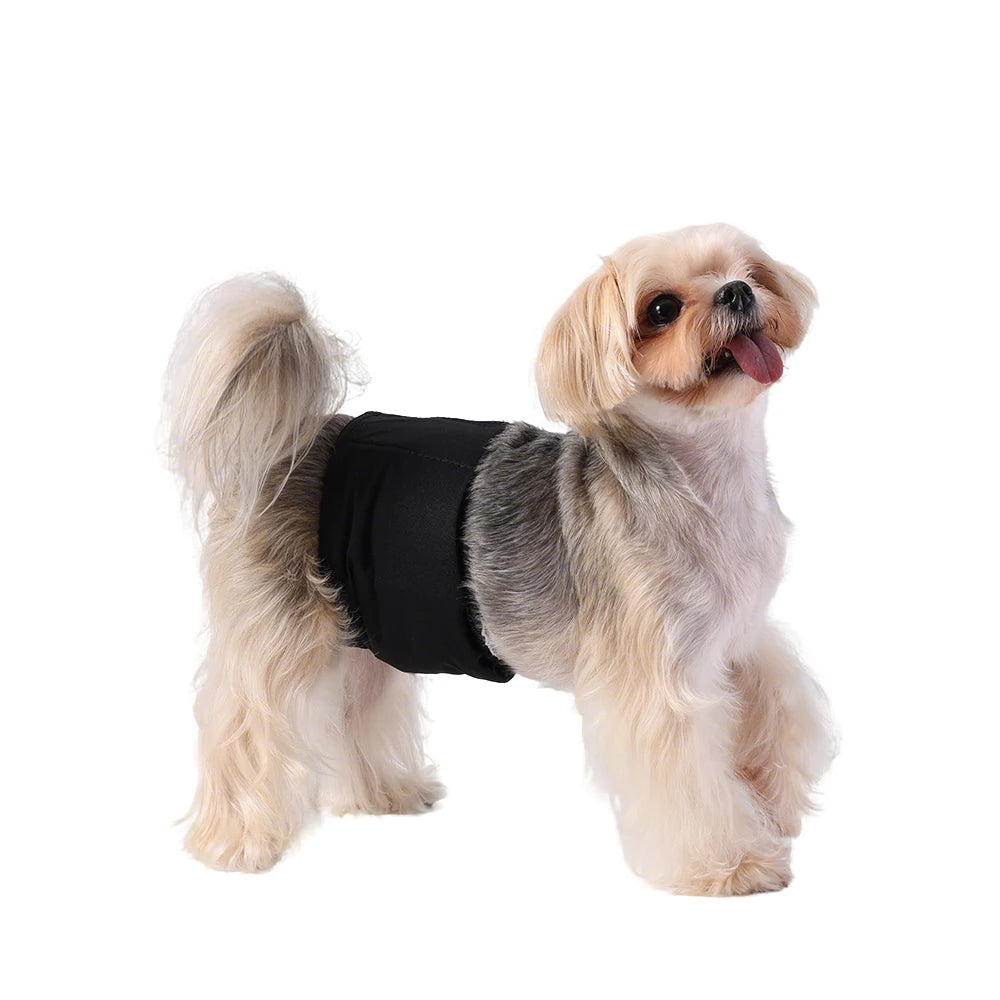 3pcs Dog Diapers Male Reusable Physiological Pants for Small Medium Dogs Anti-Side Breathable Puppy Cloth Nappies Pet Shorts
