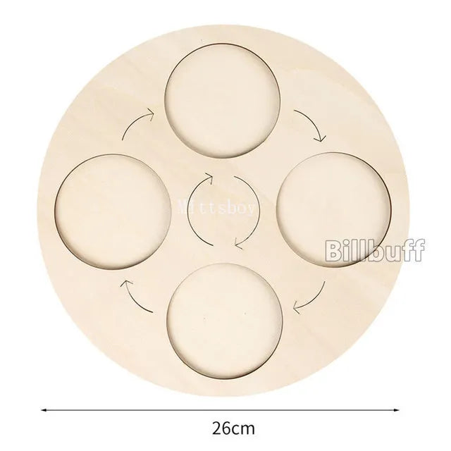 Montessori life cycle le cycle de vie English Placa De Video Frog Butterfly Seeds Cyclus Bij Ant teaching aids Educationals Toys